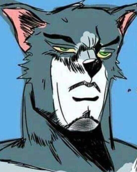 Profile of Anmol Singh